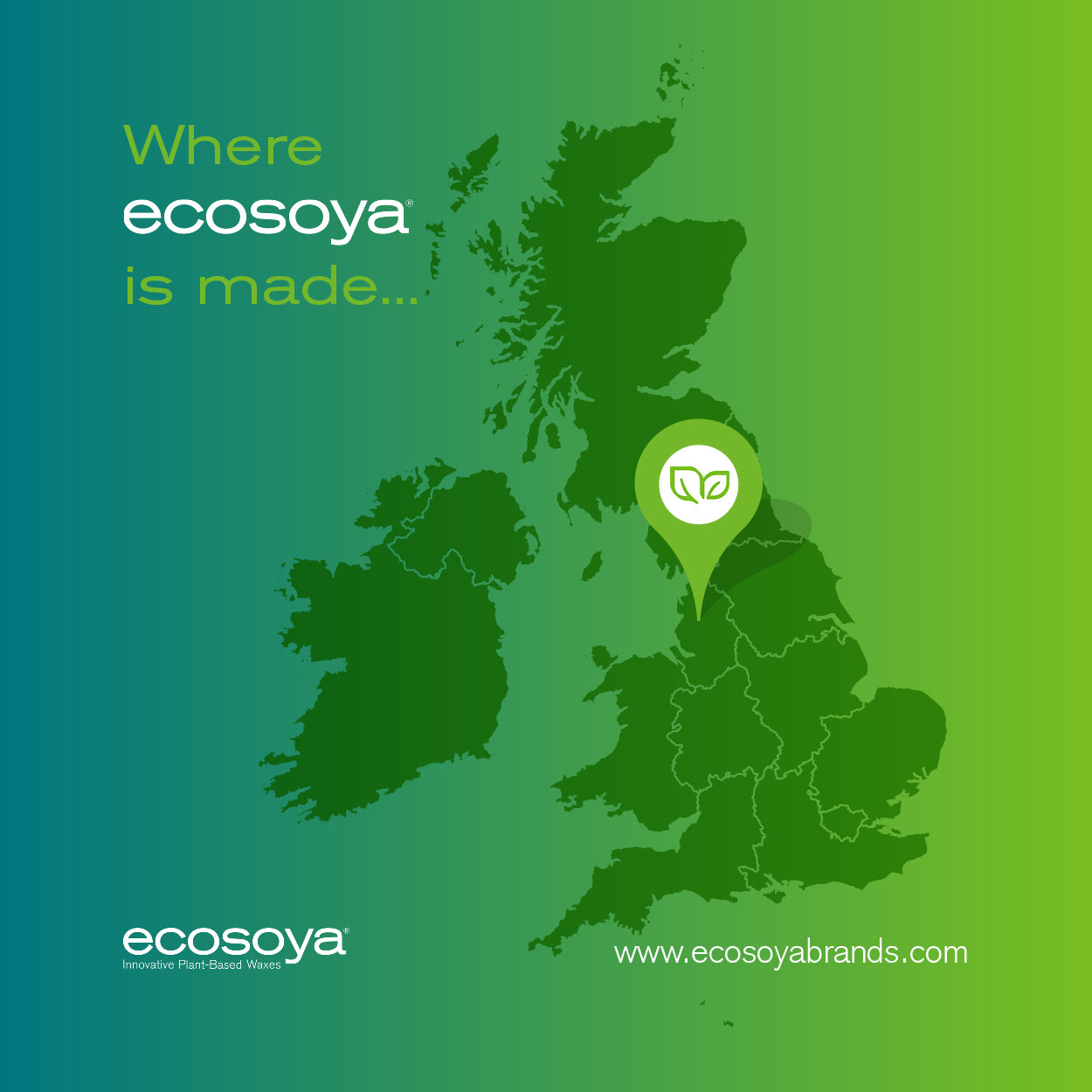 Where Ecosoya is made
